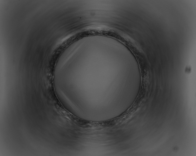 X0000101160822200807181356