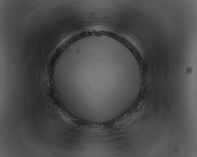 X0000101160823200807181356