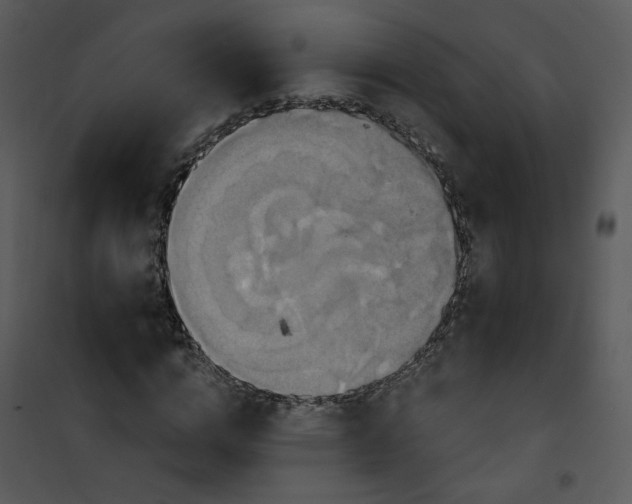 X0000101160824200807181356