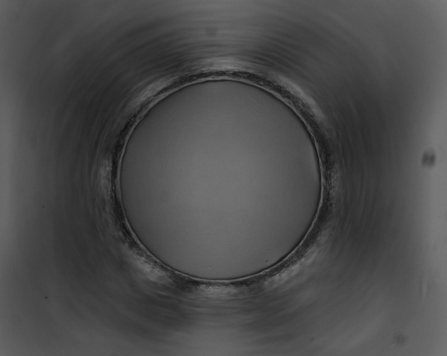 X0000101160825200807181356