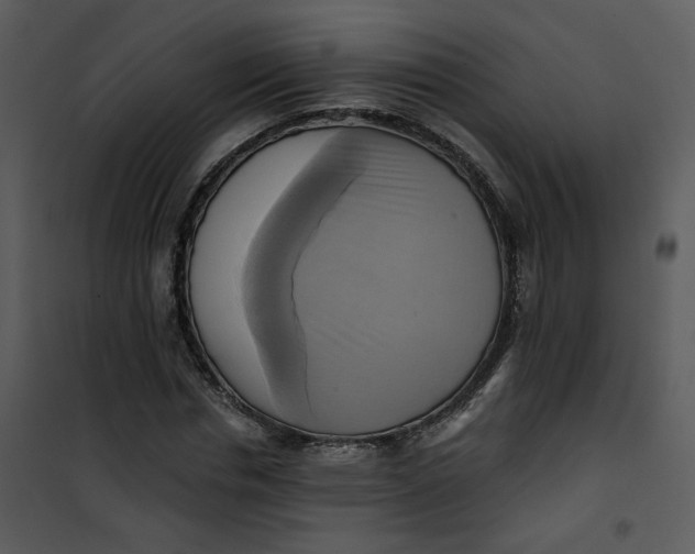 X0000101160826200807181356