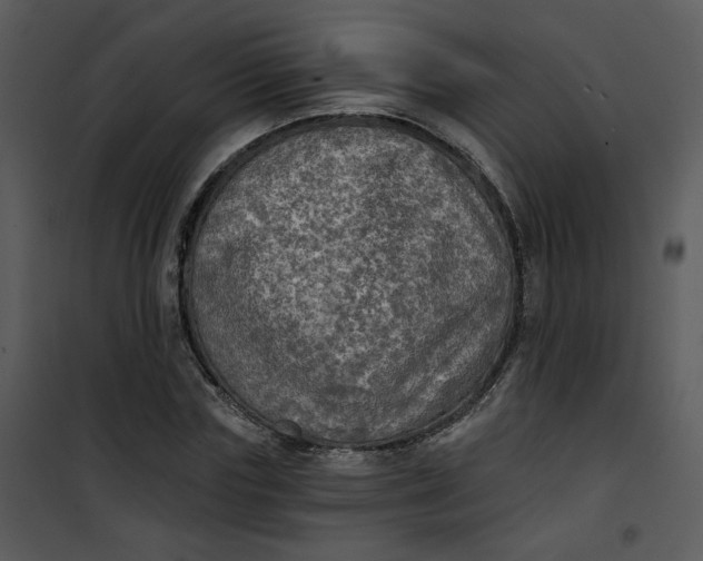 X0000101160827200807181356