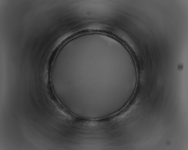 X0000101160829200807181356