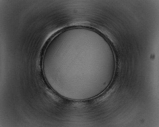 X0000101160830200807181356