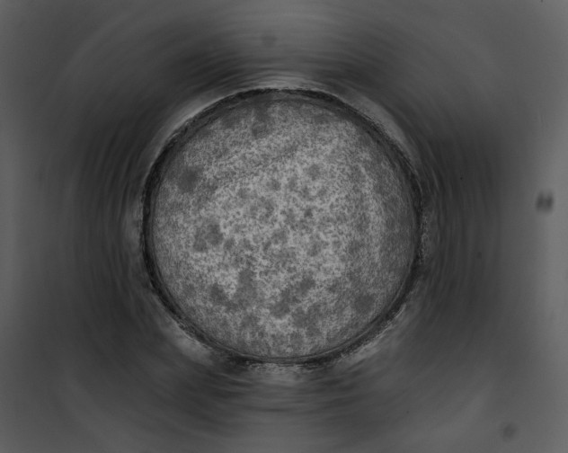 X0000101160831200807181356