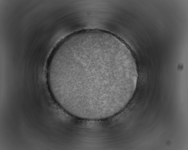 X0000101160832200807181356