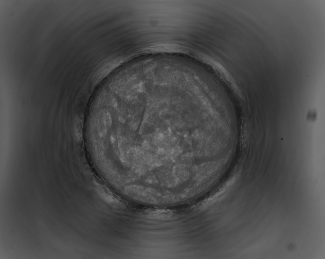 X0000101160833200807181356