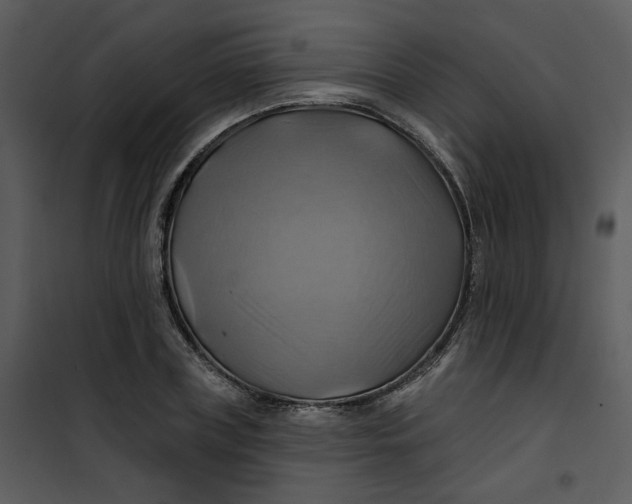 X0000101160835200807181356