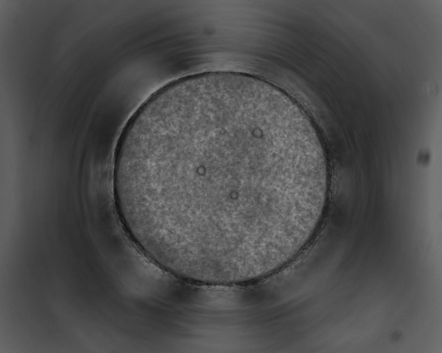 X0000101160836200807181356