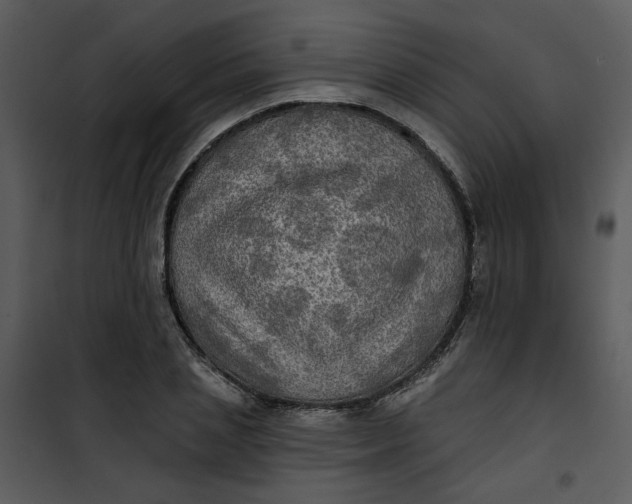 X0000101160837200807181356