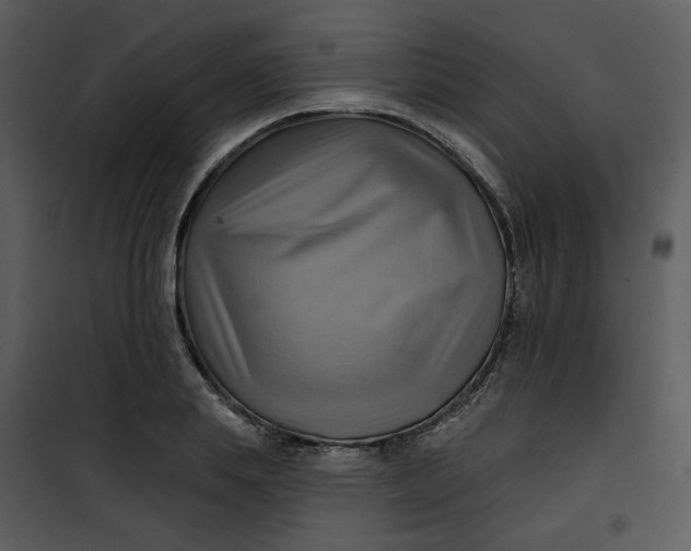 X0000101160839200807181356