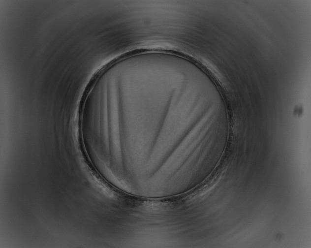 X0000101160840200807181356