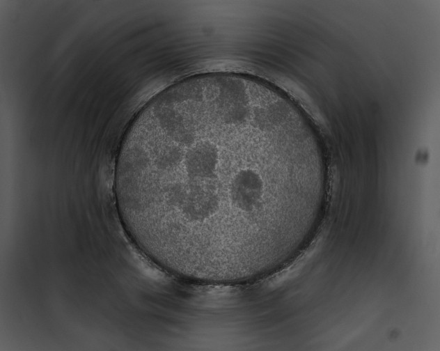 X0000101160841200807181356