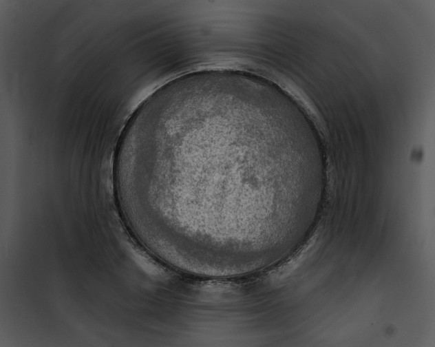 X0000101160842200807181357