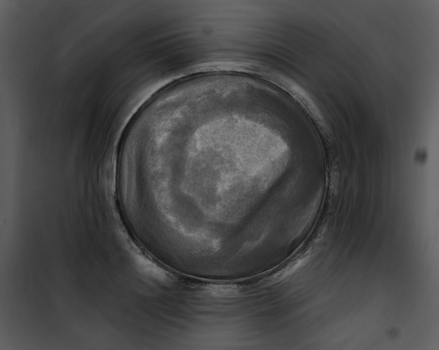 X0000101160844200807181357