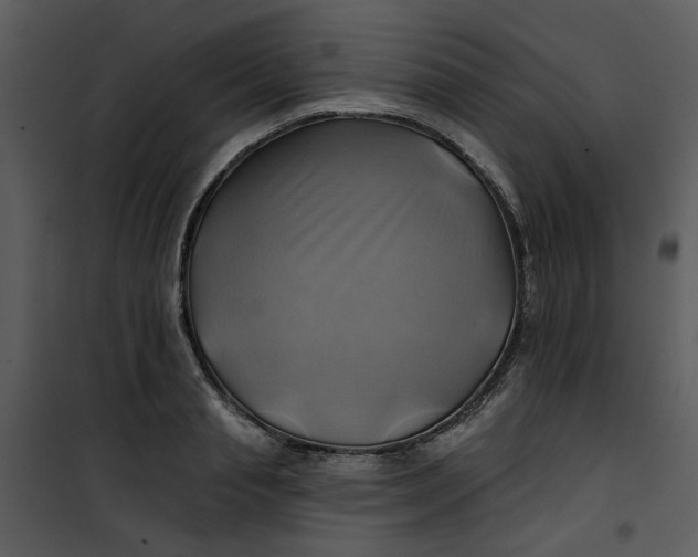 X0000101160845200807181357