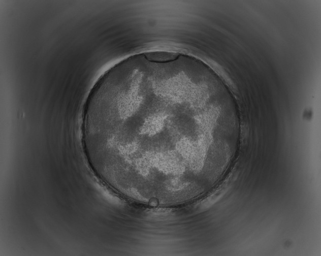 X0000101160846200807181357