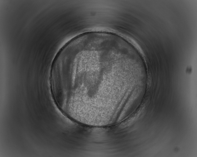 X0000101160847200807181357