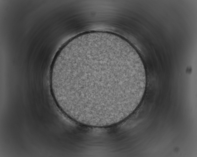 X0000101160848200807181357