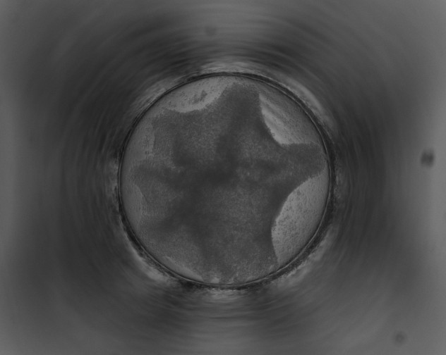 X0000101160849200807181357