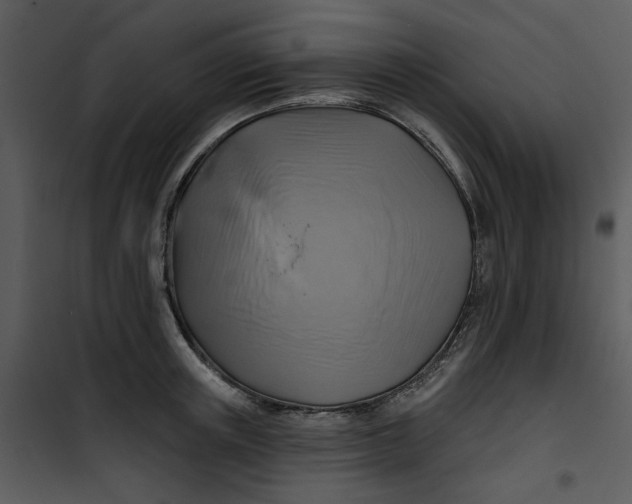 X0000101160851200807181357