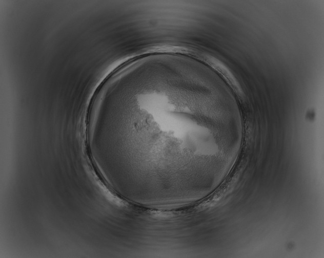 X0000101160852200807181357