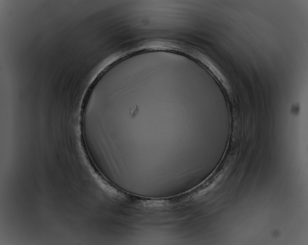 X0000101160853200807181357