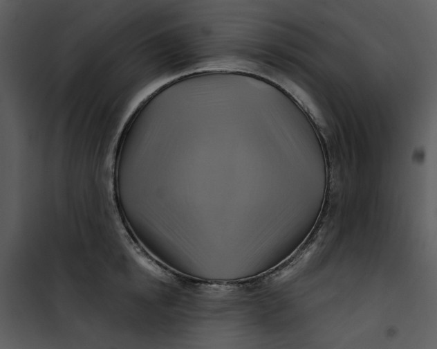 X0000101160854200807181357