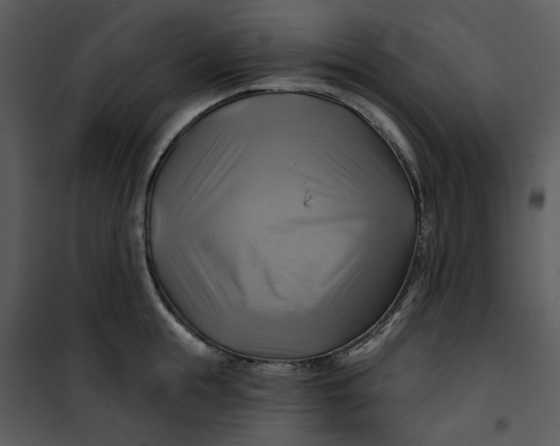 X0000101160855200807181357