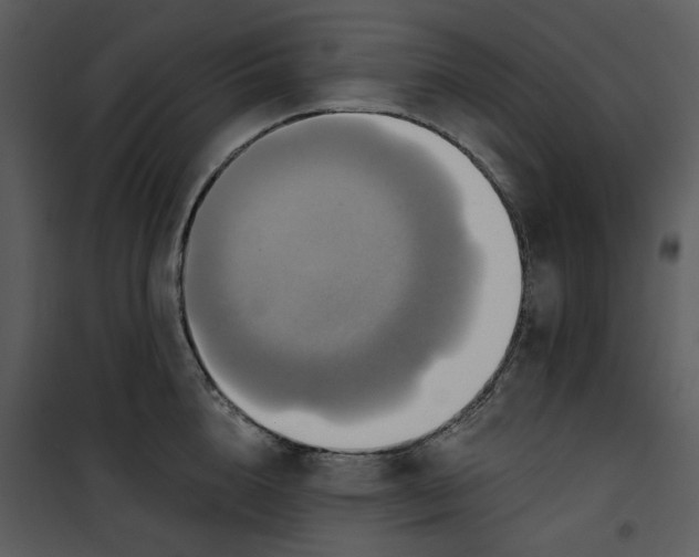 X0000101160856200807181357