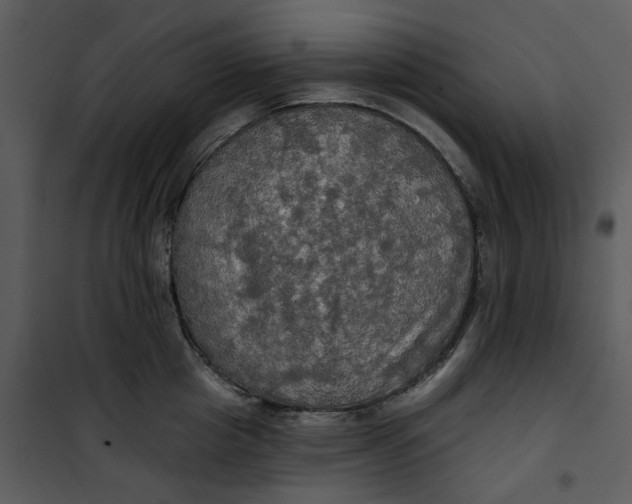 X0000101160857200807181357