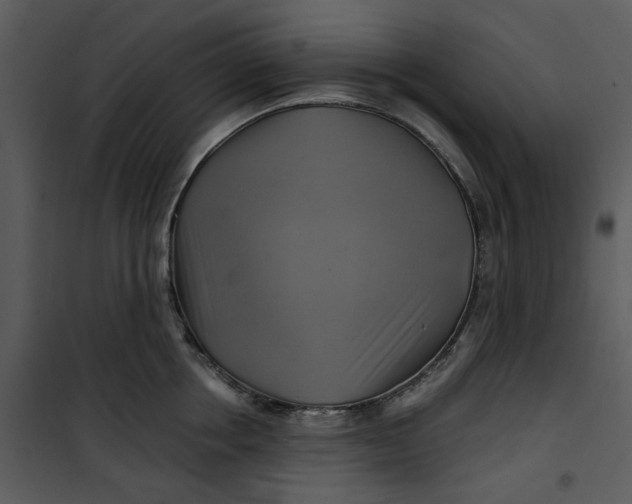 X0000101160858200807181357