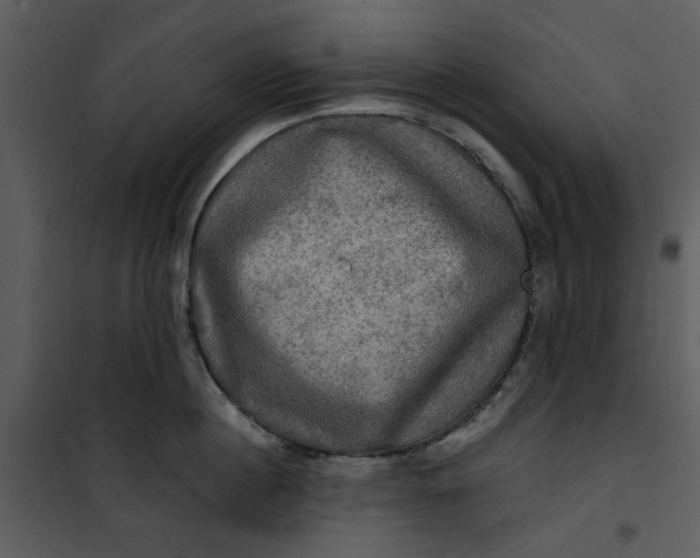 X0000101160860200807181357