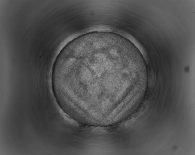 X0000101160861200807181357