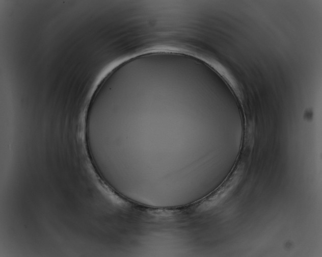 X0000101160862200807181357