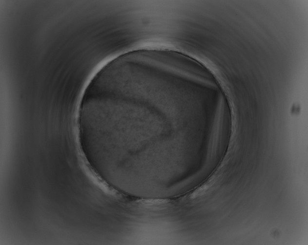 X0000101160864200807181357