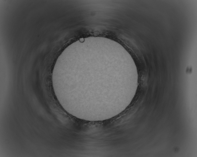 X0000101160865200807181356