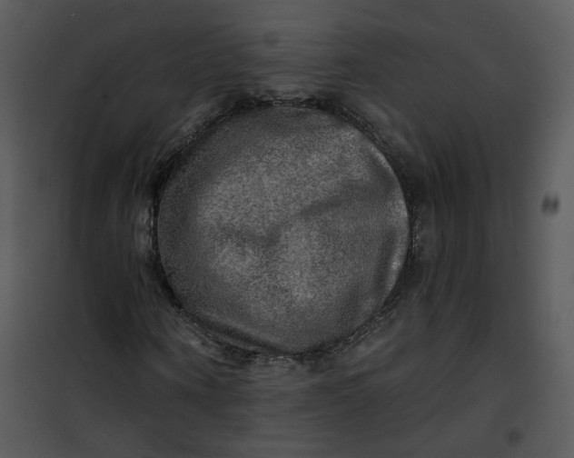 X0000101160866200807181356