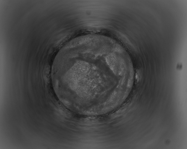 X0000101160867200807181356