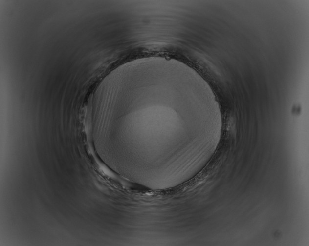 X0000101160868200807181356