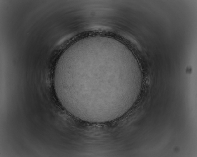 X0000101160869200807181356