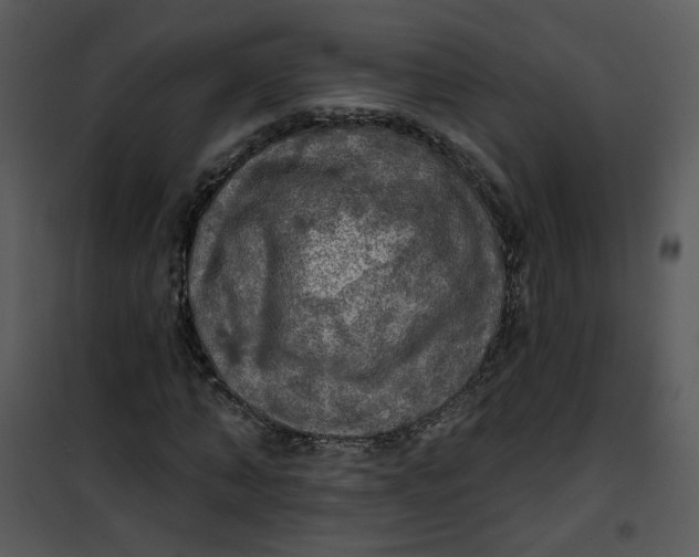 X0000101160870200807181356