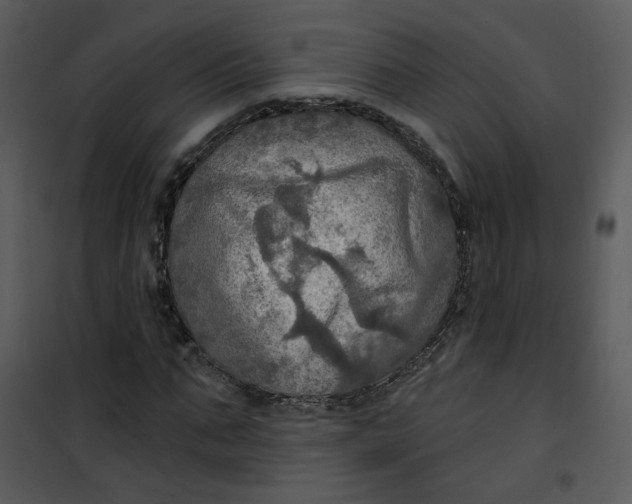 X0000101160871200807181356