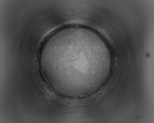 X0000101160872200807181356