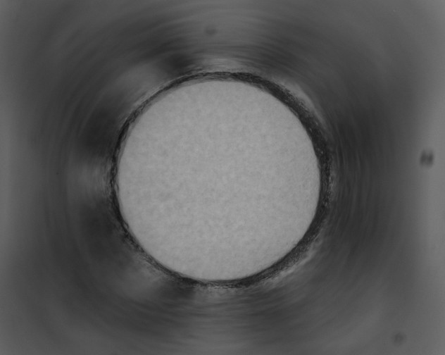 X0000101160873200807181356