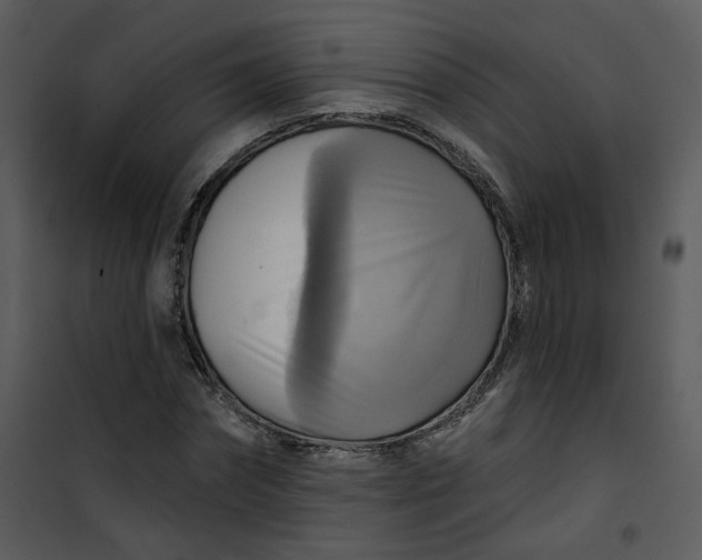 X0000101160874200807181356