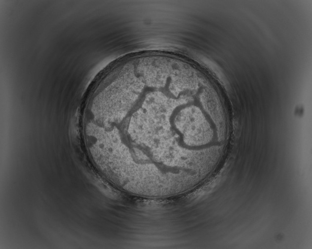 X0000101160875200807181356