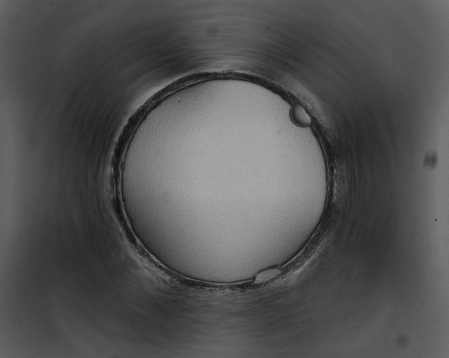 X0000101160876200807181356