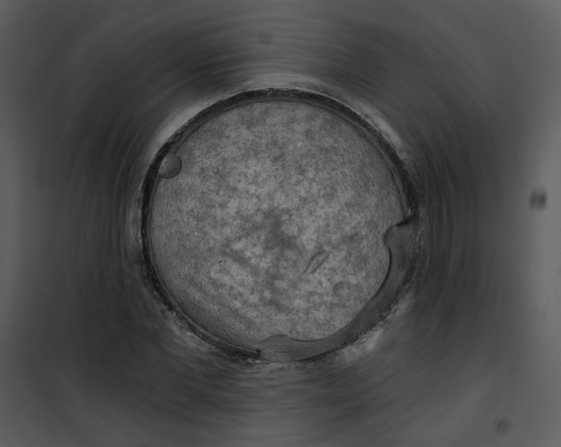 X0000101160877200807181356