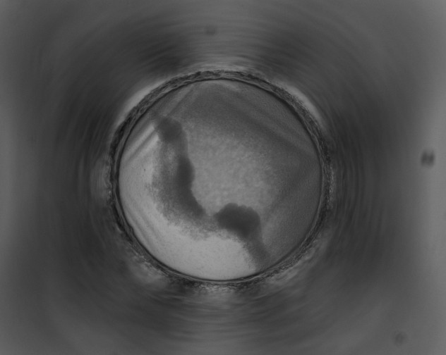 X0000101160878200807181356